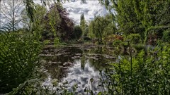 Landscapes nature Trees clouds France Garden Europe reflections 