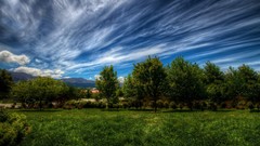 Landscapes nature Trees clouds Green