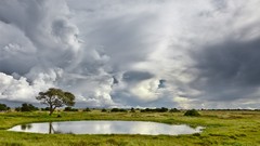 Landscapes nature Trees clouds Green