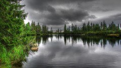 Landscapes nature Trees clouds lakes forests