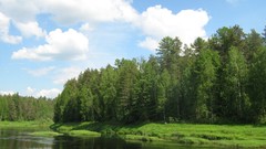 Landscapes nature Trees clouds lakes forests skylines