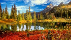 Landscapes nature Trees clouds lakes reflections