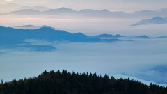 Landscapes nature Trees clouds land
