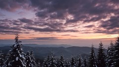 Landscapes nature Trees clouds mist forests skyscapes