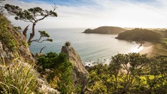 Landscapes nature Trees clouds New Zealand south Oceans Beaches 