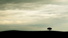 Landscapes nature Trees clouds Portugal countryside lonely 