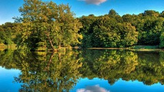 Landscapes nature Trees clouds reflections
