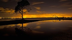 Landscapes nature Trees clouds reflections