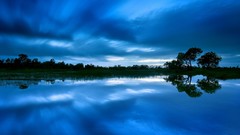 Landscapes nature Trees clouds reflections