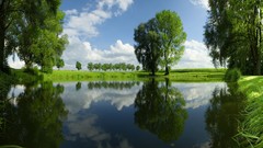 Landscapes nature Trees clouds reflections