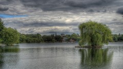 Landscapes nature Trees clouds reflections