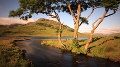 Landscapes nature Trees clouds rivers