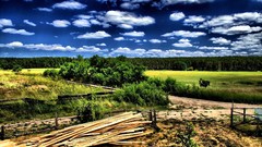 Landscapes nature Trees clouds roads fences skylines