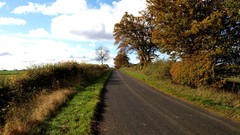 Landscapes nature Trees clouds Scotland roads fields skies HDR 