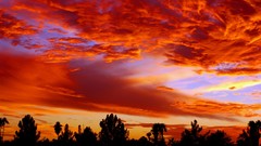 Landscapes nature Trees clouds silhouettes skyscapes