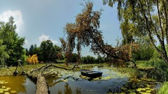 Landscapes nature Trees clouds sky dead Garden lily pads