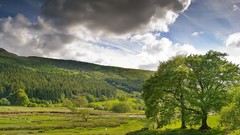 Landscapes nature Trees clouds skylines