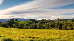 Landscapes nature Trees clouds summer sky hills Norway fields