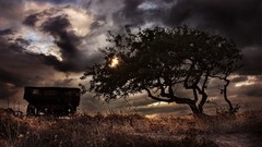 Landscapes nature Trees clouds sunlight backlit