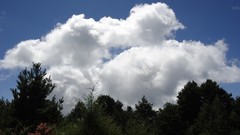 Landscapes nature Trees clouds Taiwan skies