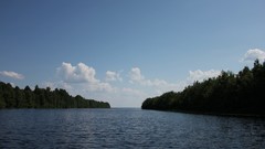 Landscapes nature Trees coast Wood karelia