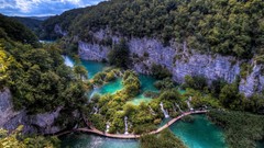 Landscapes nature Trees croatia