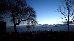 Landscapes nature Trees dawn cityscapes