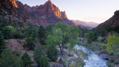 Landscapes nature Trees deserts