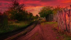 Landscapes nature Trees Earth