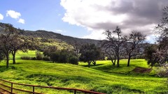 Landscapes nature Trees fences