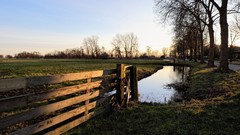 Landscapes nature Trees fences
