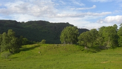 Landscapes nature Trees fields