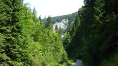 Landscapes nature Trees forests