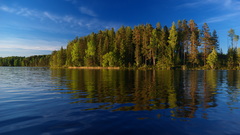 Landscapes nature Trees forests