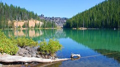 Landscapes nature Trees forests