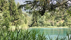 Landscapes nature Trees forests