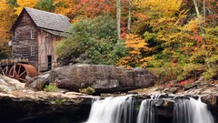 Landscapes nature Trees forests