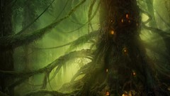 Landscapes nature Trees forests