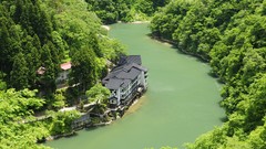 Landscapes nature Trees forests