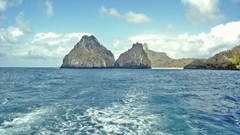 Landscapes nature Trees forests