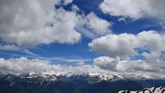 Landscapes nature Trees forests