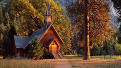 Landscapes nature Trees forests