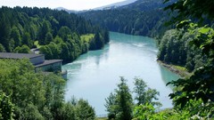 Landscapes nature Trees forests