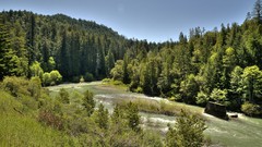 Landscapes nature Trees forests