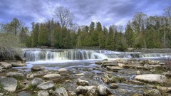 Landscapes nature Trees forests