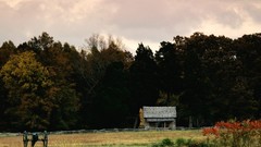 Landscapes nature Trees forests skylines