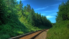 Landscapes nature Trees forests trains