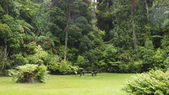 Landscapes nature Trees fortress