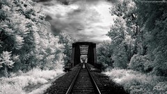 Landscapes nature Trees frost Bridges skyscapes infrared 
