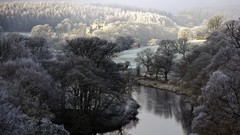 Landscapes nature Trees frost rivers forests